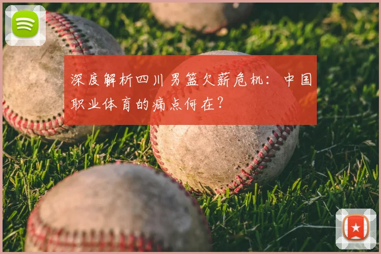 深度解析四川男篮欠薪危机：中国职业体育的痛点何在？